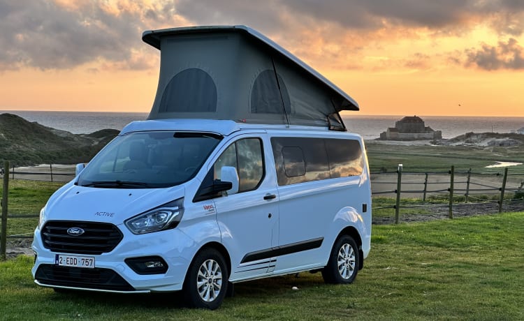 Camping-car (2 à 4p) avec porte-vélos (Ford Transit Bürstner Copa 500) 