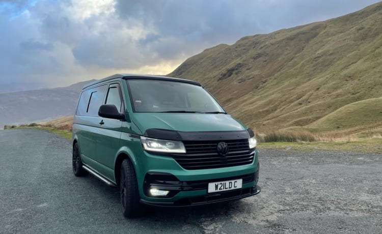 Remi – VW T6.1 Transporter Campervan