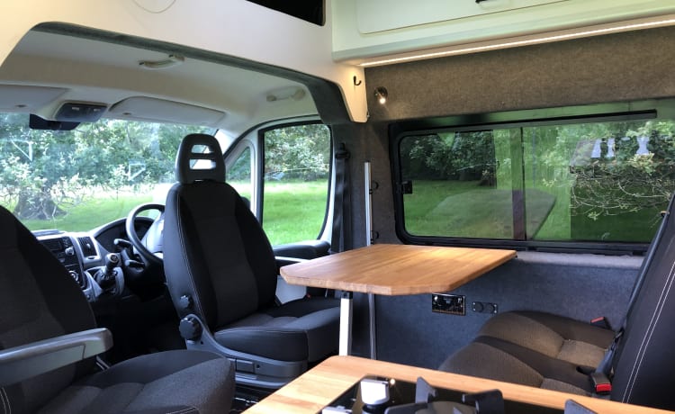 Geweldige familiebus of ruime luxe voor een stel