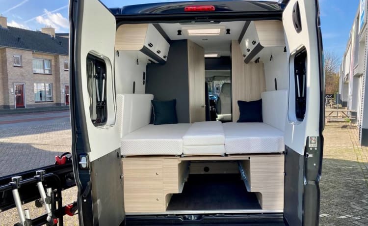 Luxury Sun Living camper van