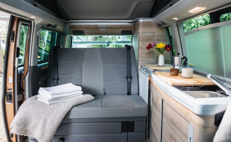 Dutch Nomad Van  – NOUVEAU! VW California Ocean 6.1 complet et luxueusement équipé.