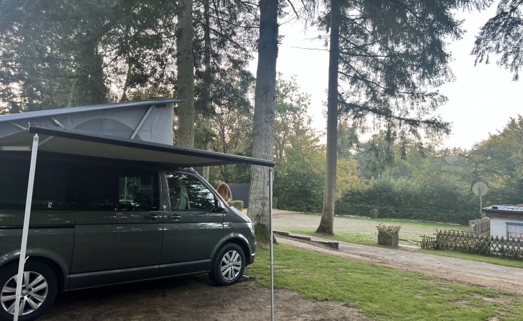  Camping-car Volkswagen 2020