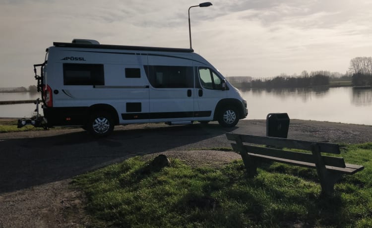 Lussuoso camper bus Pössl 640 con letti lunghi