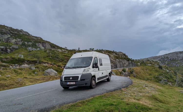 Vennie – 2p Fiat campervan from 2012