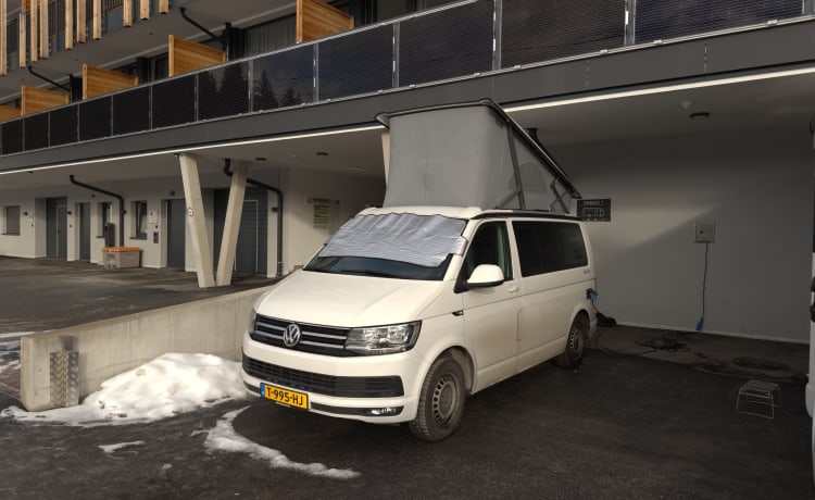 Cali  – Volkswagen California T6 (Fabriekscamper, origineel)