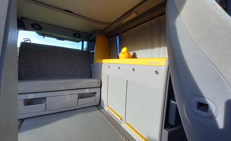 VANTASTIK RENTAL CAMPERVAN – MERCEDES MARCO POLO - VAN GOGH