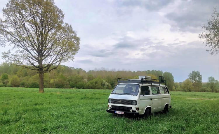 Bessie – Un superbe bus Volkswagen 