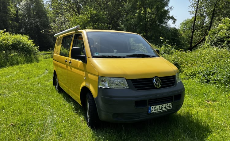 Pippin – Postbus Pippin