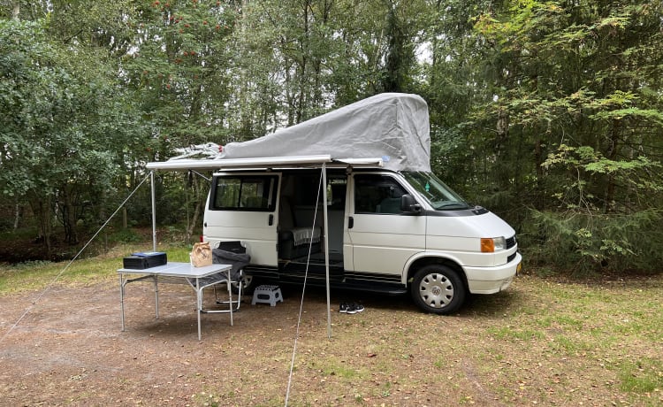 Colin de Camper – Camper autobus Volkswagen T4 California, ottime condizioni, con extra e off-grid