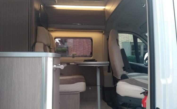 CHAUSSON Exclusivité V597CS