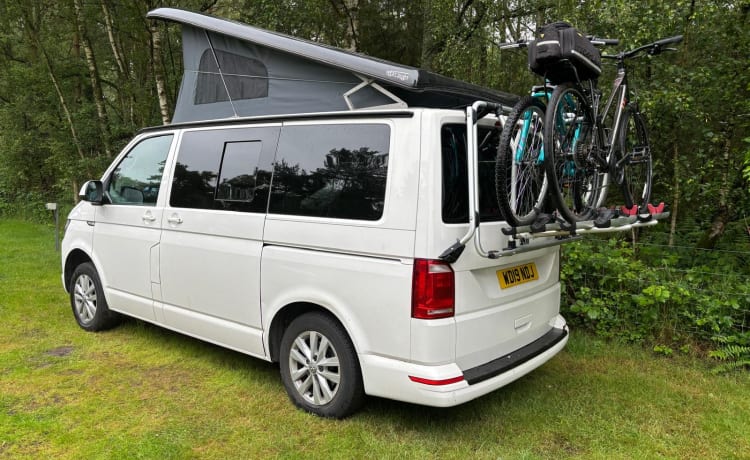 Tallulah – 4 berth Volkswagen campervan from 2019