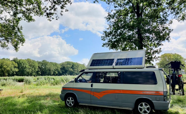 Willem – Classic VW Camper Bus