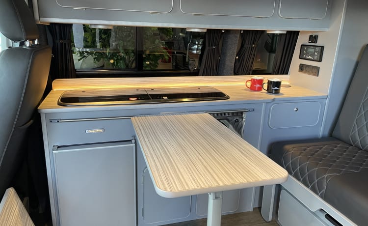 Mango 🥭 – TOP SPEC! Luxury, Easy Drive, 4 berth Volkswagen T6- 2022 