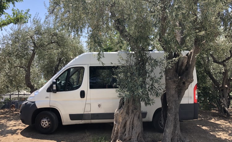 Billy – On an adventure with our converted camper bus (Fiat Ducato 2013 3p))