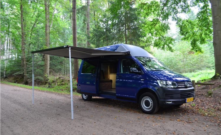 Harry – Camping-car bus Volkswagen SUNLINER XL LUXE 5p, construit en 2023 !