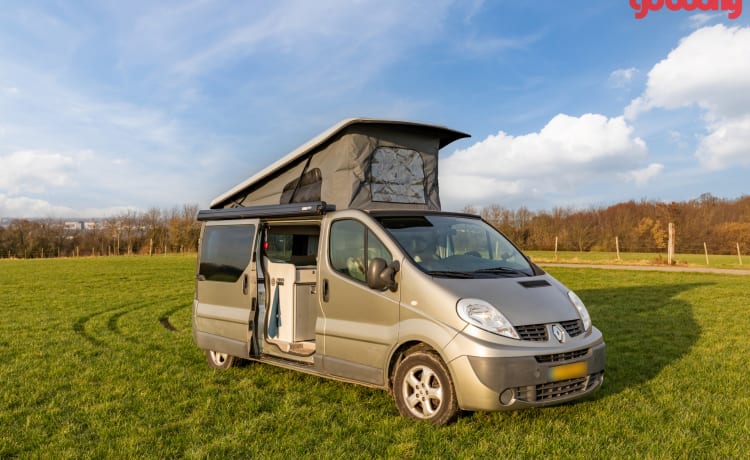 Roza – 4p Renault Camperbus uit 2011 - geschikt voor vrijwel elk avontuur!