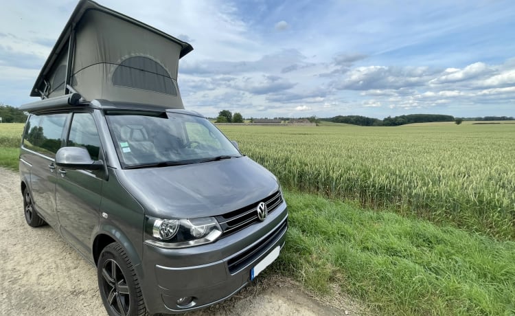 Calif – LIEFERWAGEN VW Kalifornien