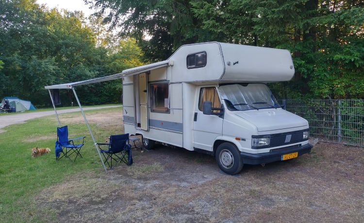 Camping-car nostalgique avec assurance