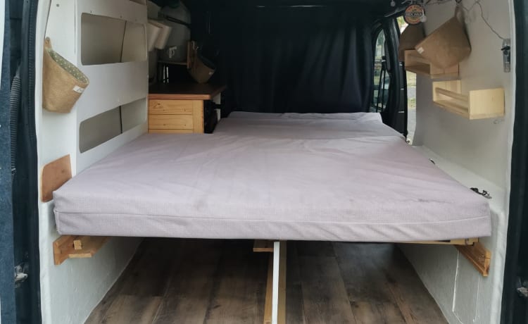 Betsy – Mini camper Fiat Doblo del 2008