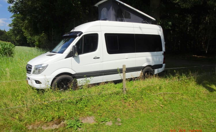 Camper autobus Mercedes Benz Sprinter 4 posti automatico.