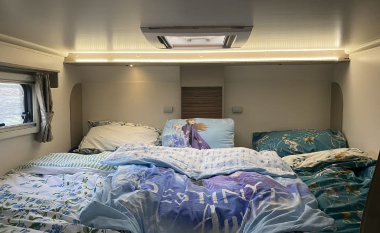 6 berth Fiat alcove from 2020