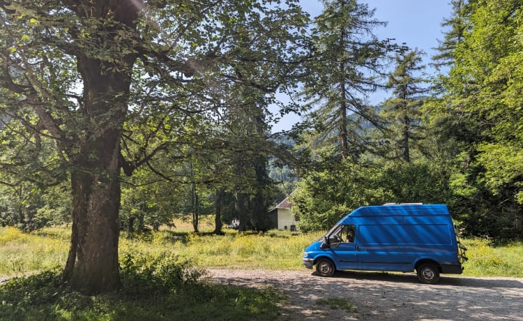 De Blauwe droom – Ford Transit, le rêve bleu