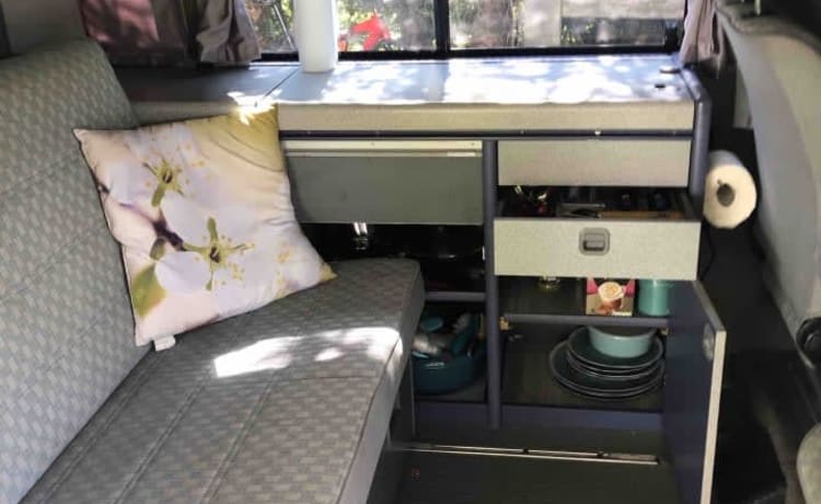 Bens Carli – VW Westfalia California