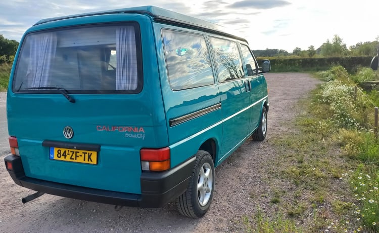 Kermit – Original Volkswagen T4 California 1994, 6 Personen, netzunabhängig