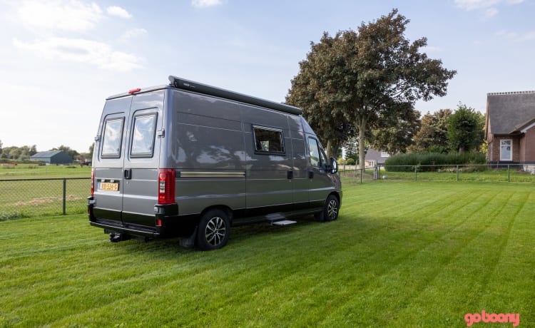 Bellissimo camper per autobus del 2005