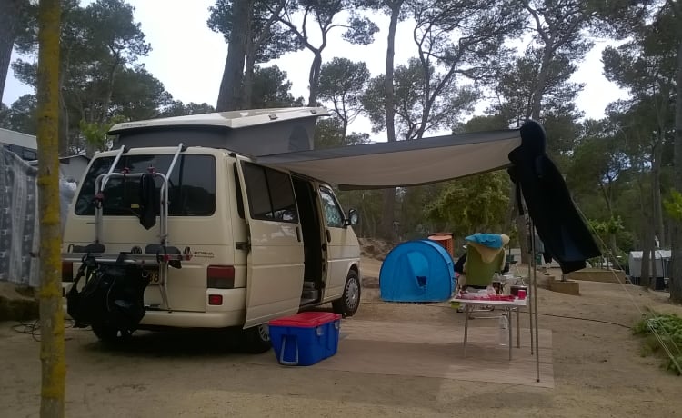 The last real Bulli – 4 person Volkswagen T4 California with lifting roof