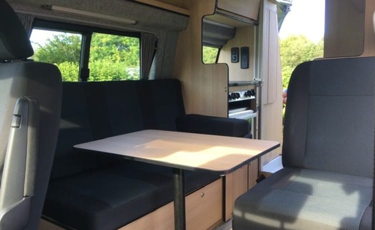 Capercaillie – 2-persoons Volkswagen campervan uit 2016