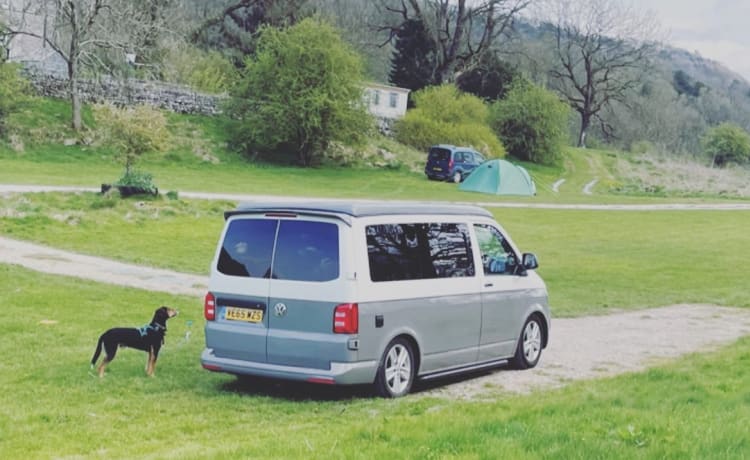 Ivy – Pet friendly VW campervan - MK13 Milton Keynes