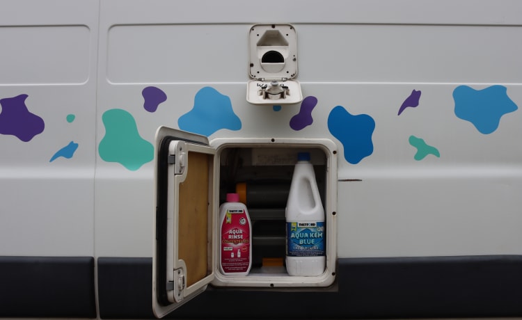 Bella de koe – 2p fiat ducato (ideaal voor surfers en/of dierenbaasjes) 