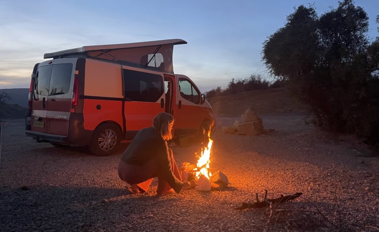 Vicky  – Wohnmobil Opel Vivaro aus dem Jahr 2010