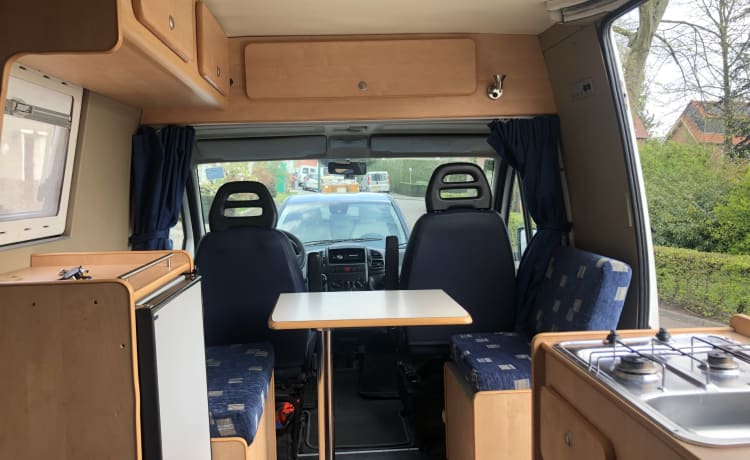 Segui il sole con questo camper bus Fiat Ducato compatto!