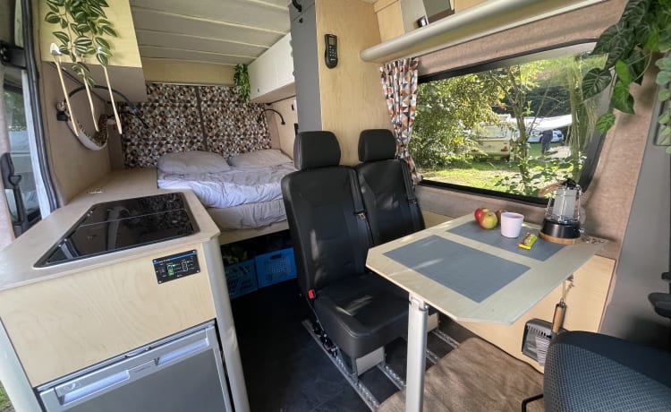 Ad – Affascinante Mercedes Sprinter off-grid del 2010