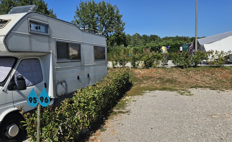 Comfortable 4-person Ford Transit Rimor Camper - Perfect for Families!