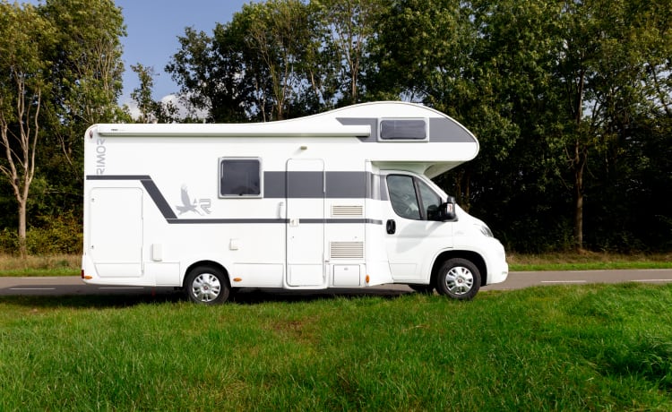 Fiat camper – Camping-car Fiat avec alcôve