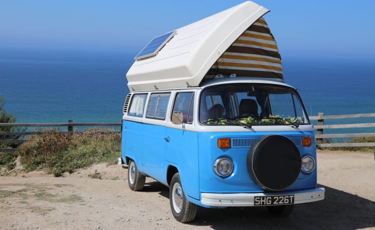 Sandy – Camper Volkswagen del 1979 con finestra a golfo, 4 nati, installazione solare fuori rete