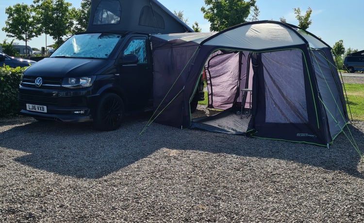 Bluebell – VW T6 Camping-Car 4 Couchettes - Automatique