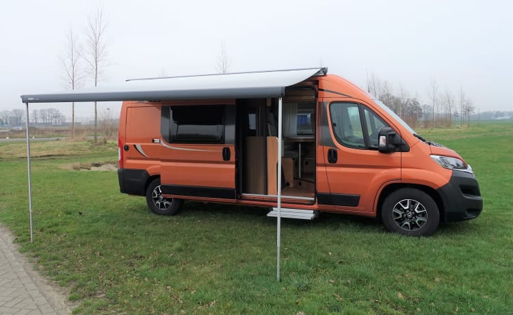 Oranje Boven – Pössl Camperbus 2 Win R Plus van 2019 met 163PK en Euro6
