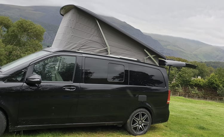 Pookiemobile – Top Range Marco Polo AMG V250: Drive in Style