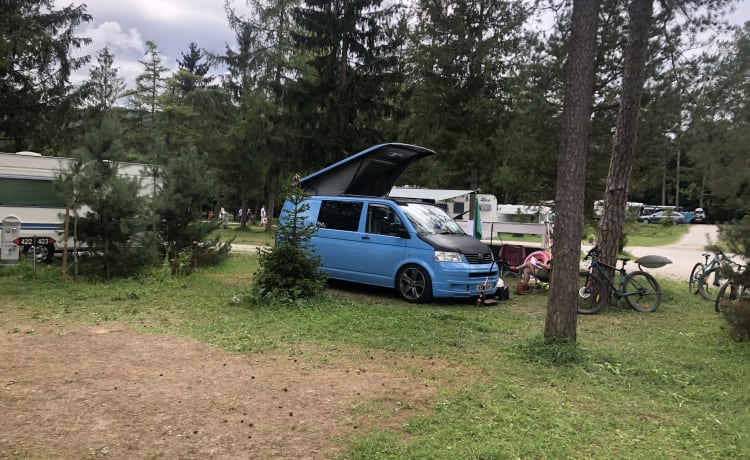 Bluebell – Le toit ouvrant VW T5 peut accueillir 4 personnes.