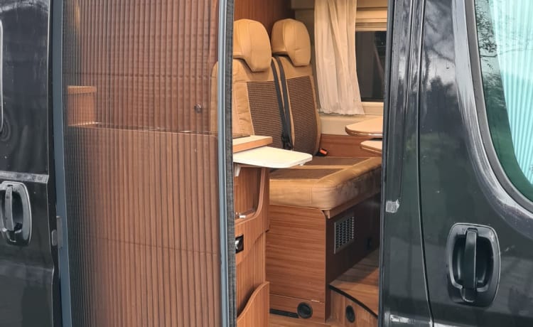 De Westereender Flitz – Pössl Bus Camper 160 ch Automatique à partir de 2019