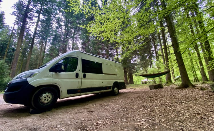 Van de Pop – Year-Round Adventure Mobile