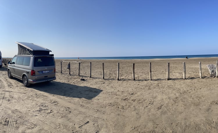 Cali – Vw California Coast.