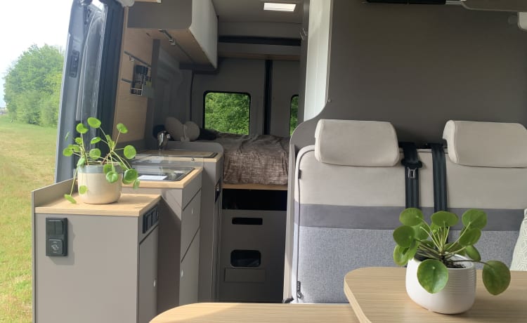 Camper LMC sportivo 2p anno 2023