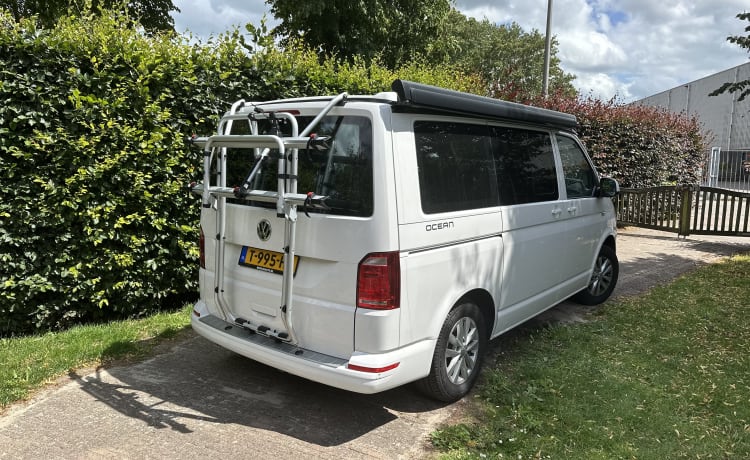 Cali  – Volkswagen California T6 (Werkscamper, Original)