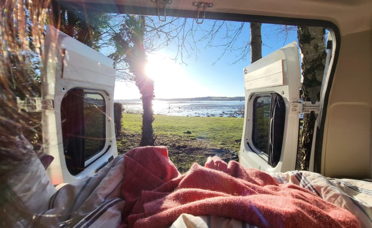 Glen – Camping-car aménagé Citroën Relay L3H2 2 places avec douche/WC