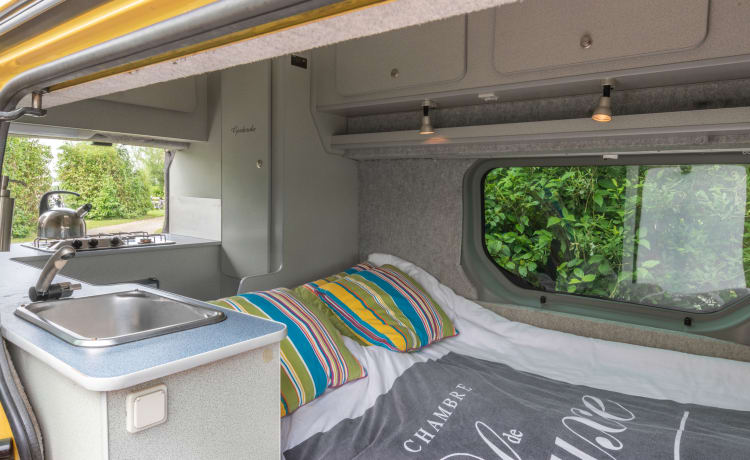 Type 5 – Compact All seasons camper